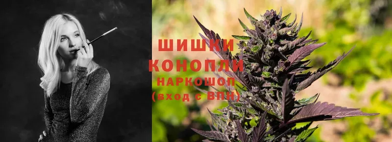 мориарти наркотические препараты  Мытищи  Бошки марихуана THC 21%  закладки 